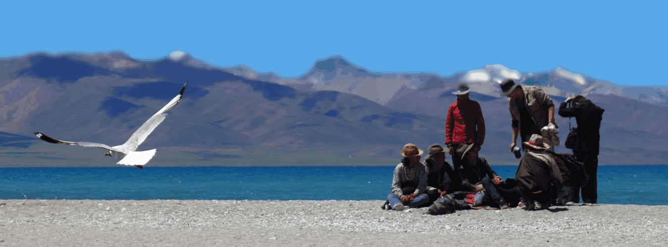 family tour ladakh ladakhhillls.com