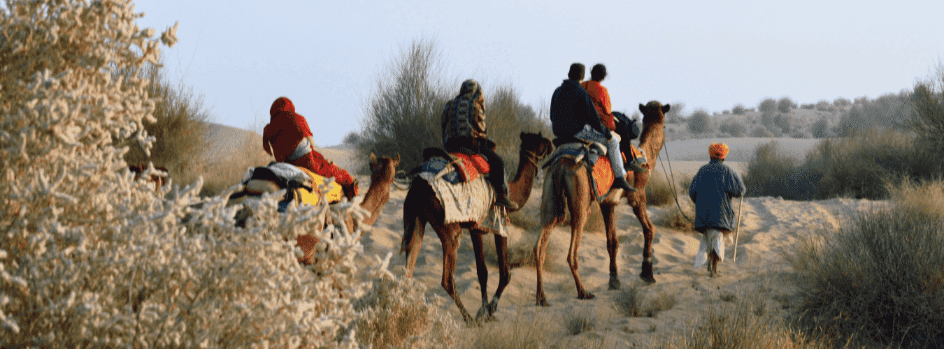 camel safari ladakh hills